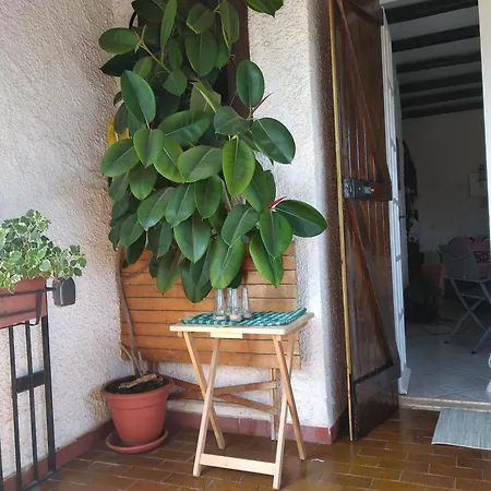 Alimede Al Circeo * Borgo Montenero