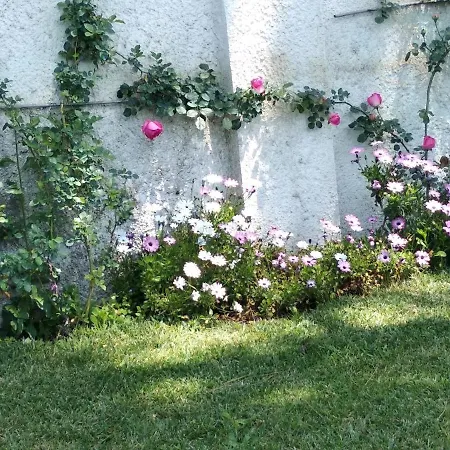 Feriehus San Felice Circeo Alimede Per Sei Borgo Montenero