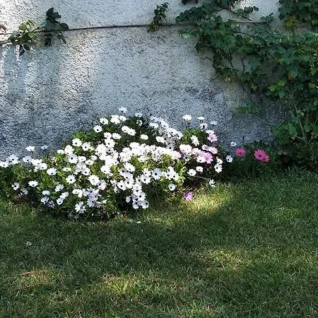 Alimede Al Circeo Σπίτι διακοπών