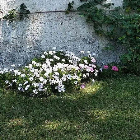 San Felice Circeo Alimede Per Sei Feriehus