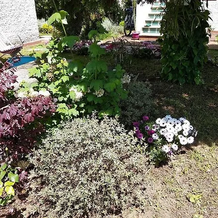 Alimede Al Circeo Borgo Montenero